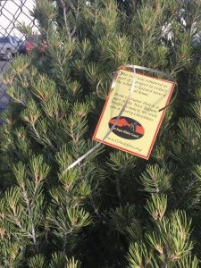 This Christmas tree tag adorned a tree in the West Region Wildfire Council tree lot from a fire mitigation project.