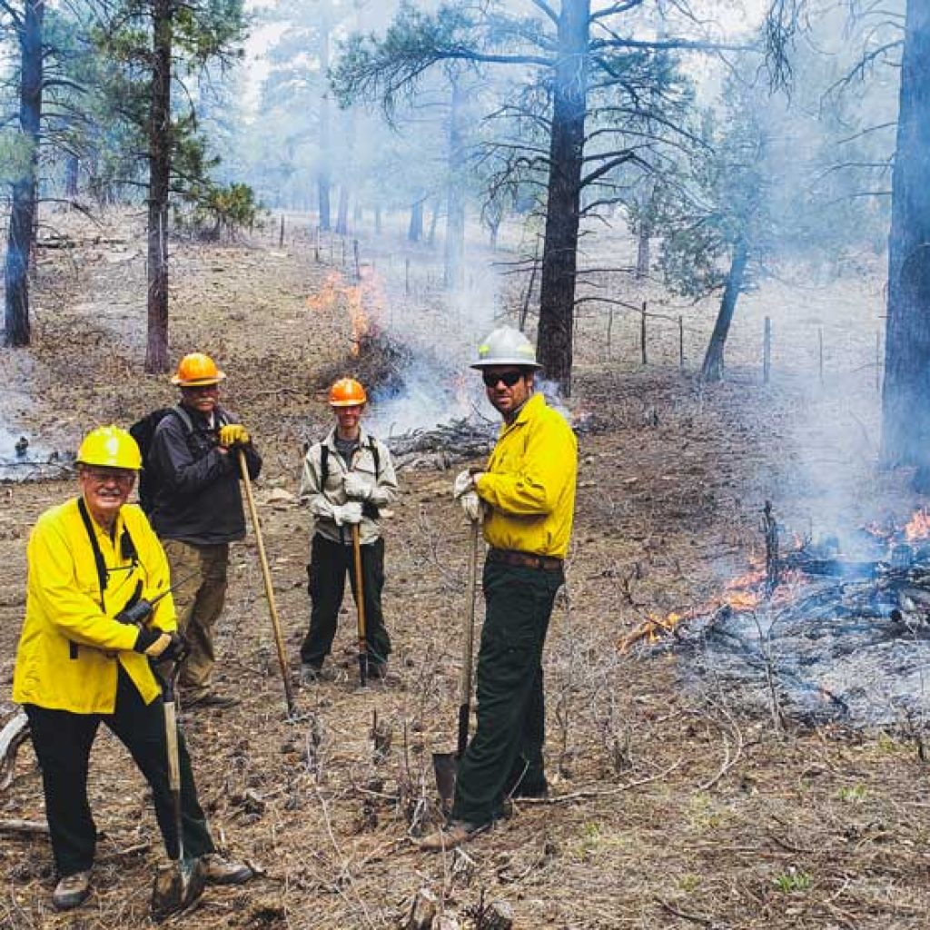 Fire Adapted Colorado's Opportunity Fund grants go along way to supporting community fire adaptation around the state. This post shares a little about recently funded projects.