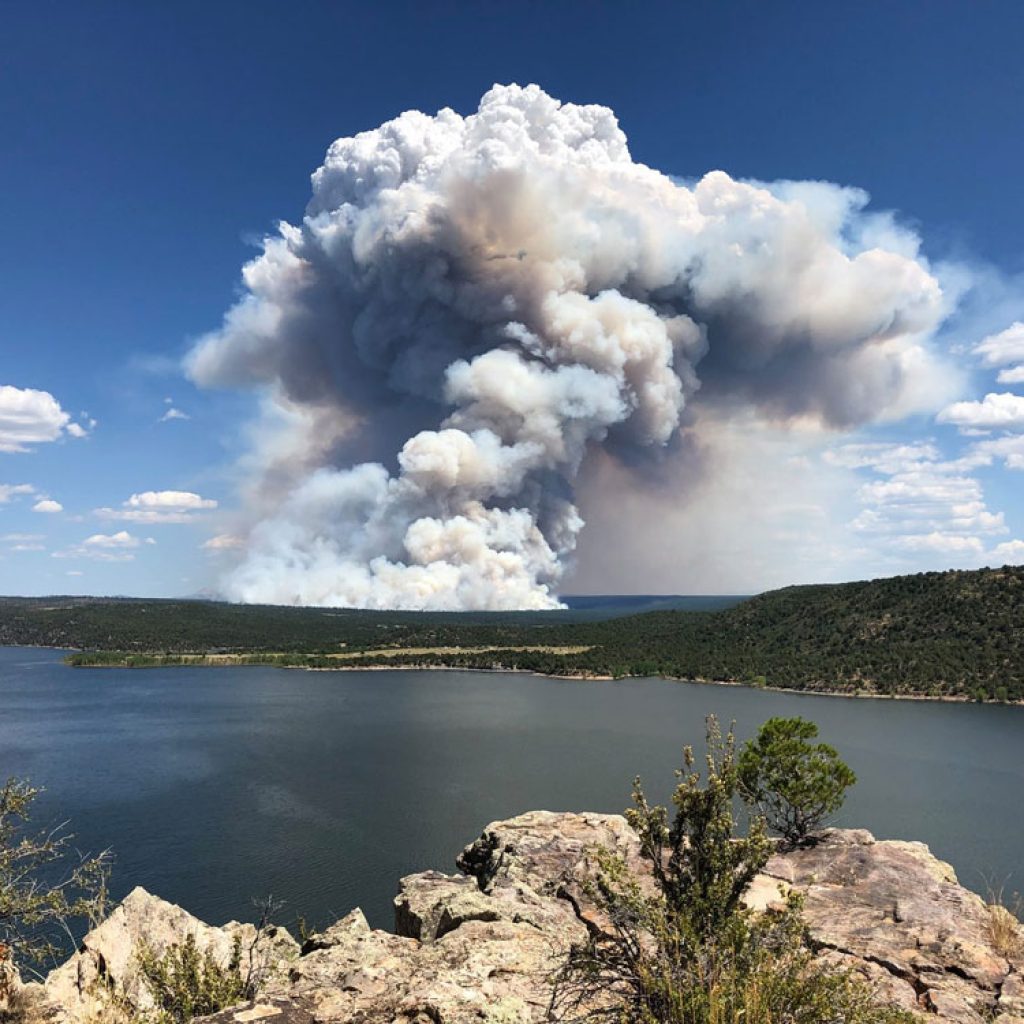 Wildfire Adapted Partnership's, Alex Graf, shares his experience with cross-boundary education, implementing Prescribed Fire Tours in 2019 in partnership with the San Juan National Forest.