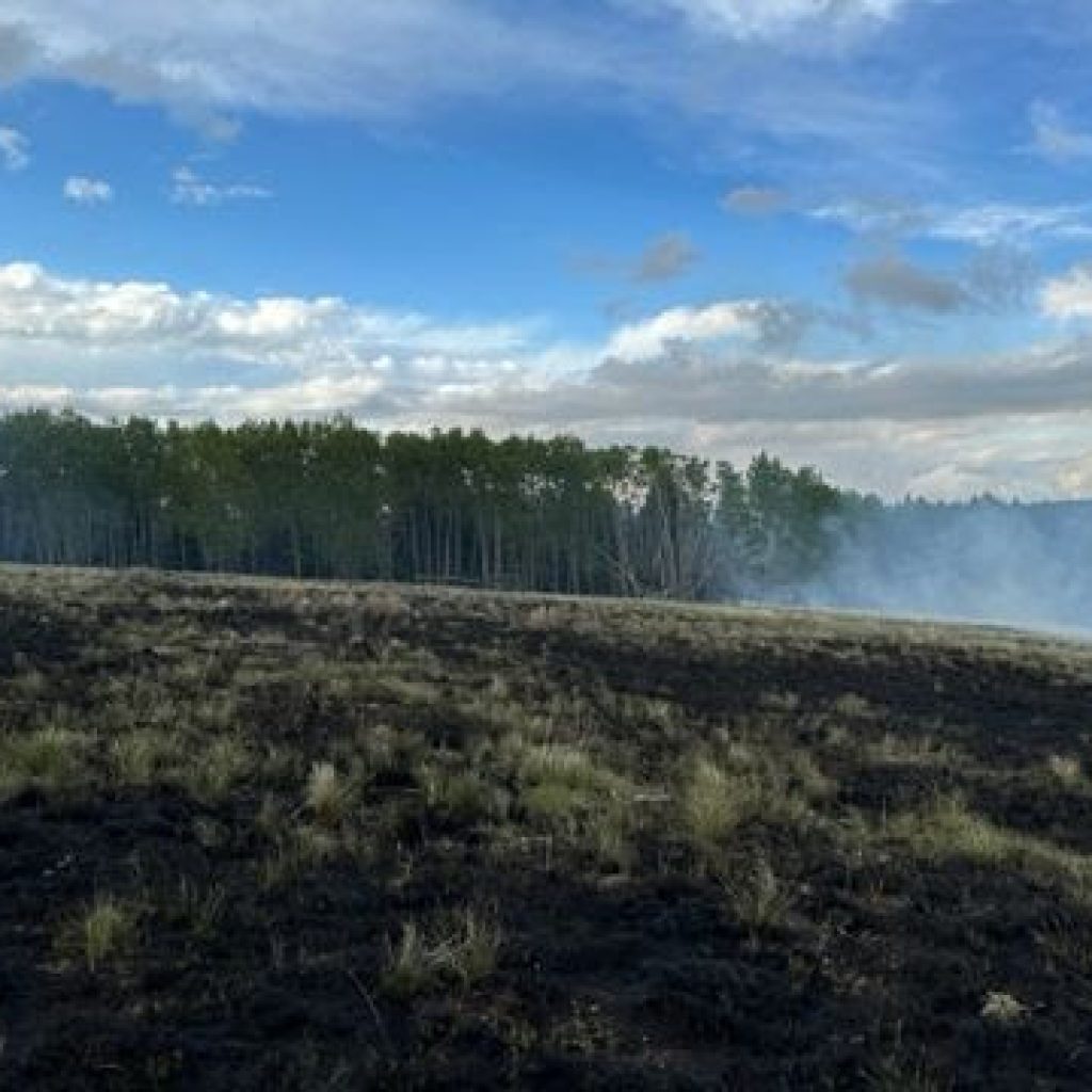 A grass field on fire, smoke and trees in the background