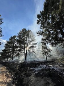 Shavano Prescribed fire on the Salisa Ranger District September 2023