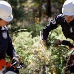 Mile High Youth Corps - Hire a Crew