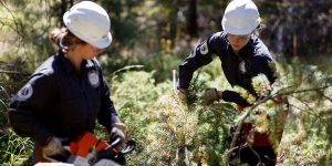 Mile High Youth Corps - Hire a Crew