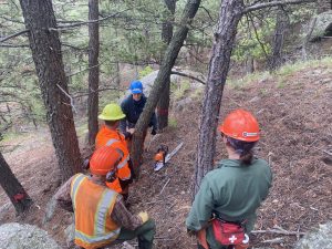 Members of Mile High Youth Corps participate in an advanced chainsaw training course