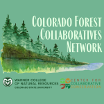 Colorado Forest-Collaboratives Network logo