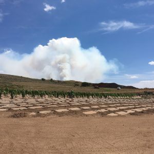 An image of a plume of smoke during the 2018 Lake Christine Fire