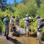 Image of People doing project work in the Blue River