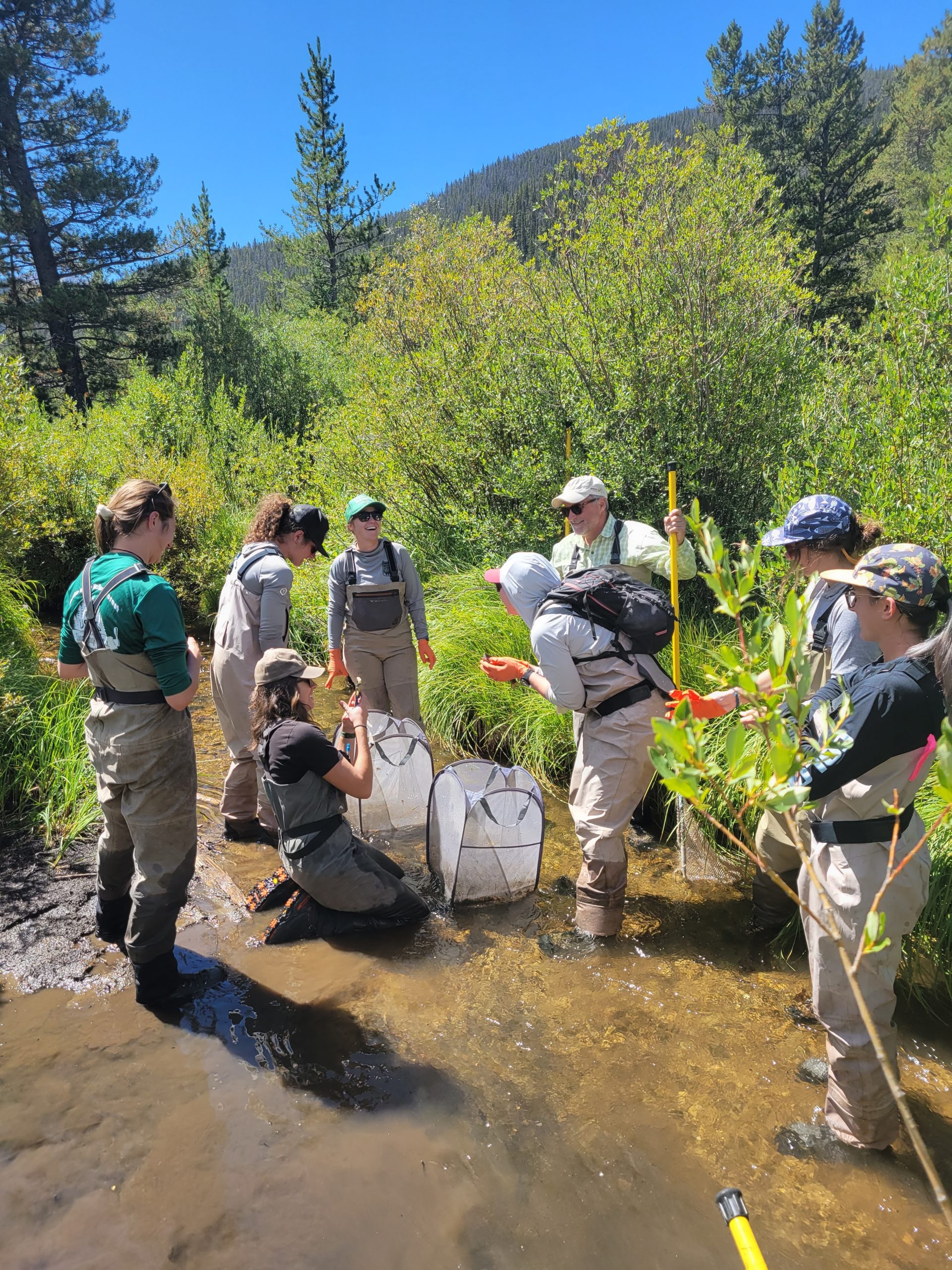 Image of People doing project work in the Blue River