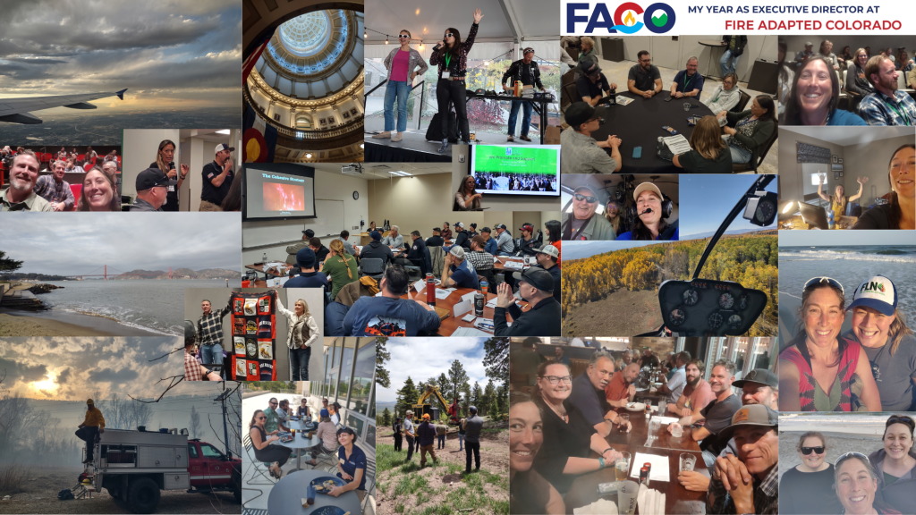 Montage of FACO's Director and work friends and scenes described in the blog post from her travels in 2024.